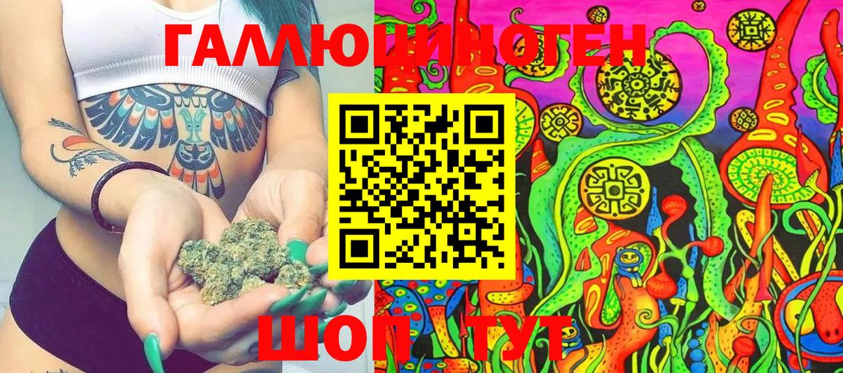 Сунжа  купить  цена  Вход с VPN  Псилоцибиновые грибы Magic Shrooms 