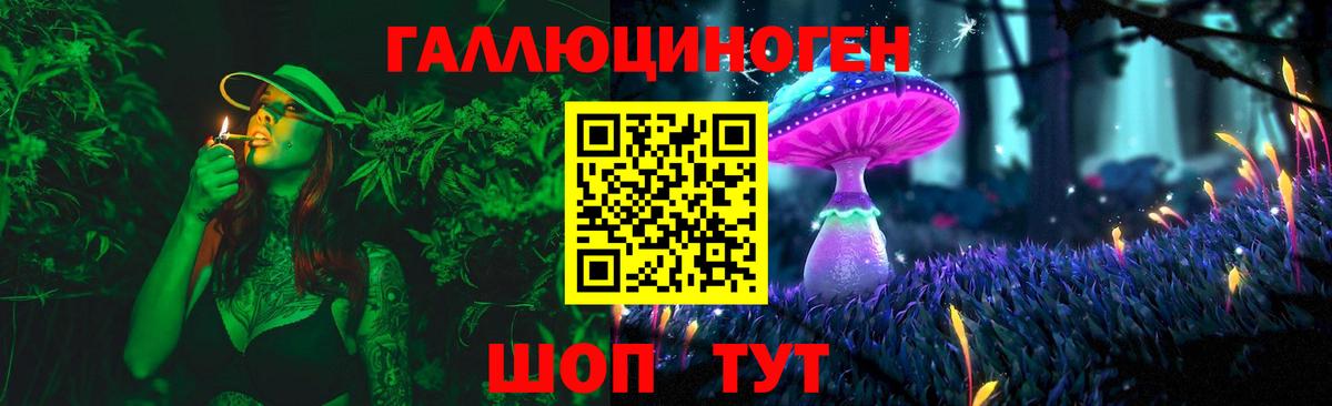 Галлюциногенные грибы Cubensis Сунжа